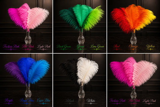 25 Ostrich Feather Plumes 14-16”